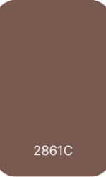 2861C